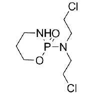 <em>Cyclophosphamide</em>