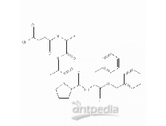 羧肽酶B 来源于猪胰腺(PMSF处理)