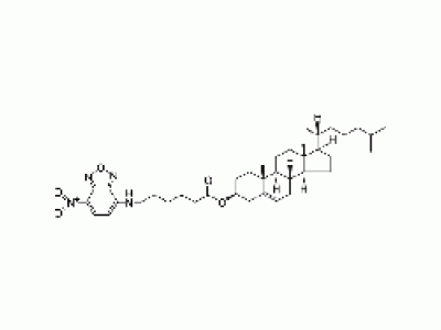 5-cholesten-3ß-ol 6-[(7-nitro-2-1,3-benzoxadiazol-4-yl)amino]caproate