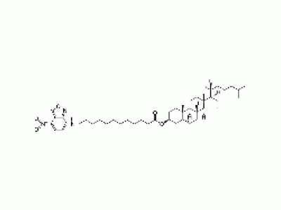 5-cholesten-3ß-ol 12-[(7-nitro-2-1,3-benzoxadiazol-4-yl)amino]dodecanoate
