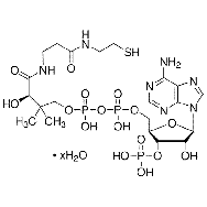 辅酶A水合物(游离酸