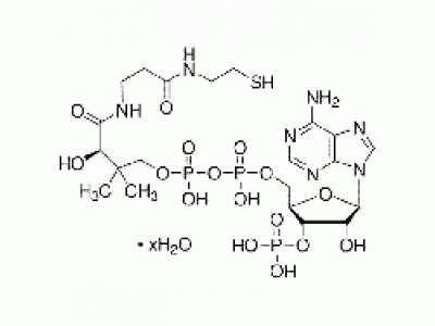 辅酶A水合物(游离酸)