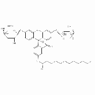 <em>C12FDG</em>  [5-Dodecanoylaminofluorescein Di-β-D-Galactopyranoside]
