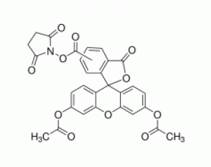 5(6)-羧基二乙酸荧光素琥珀酰亚胺酯（CFDA）