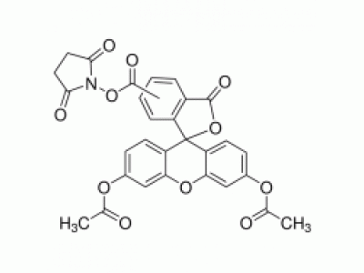 5(6)-羧基二乙酸荧光素琥珀酰亚胺酯（CFDA）