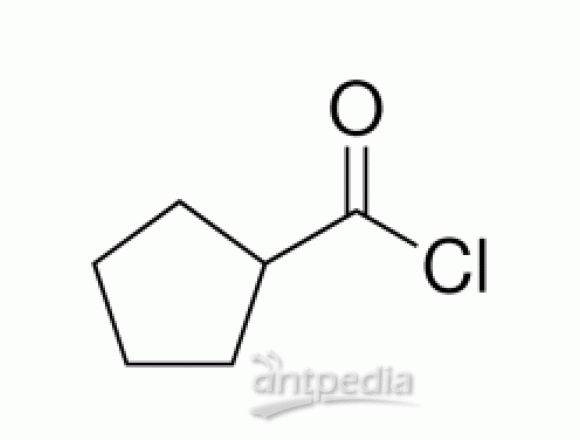 环戊基甲酰氯