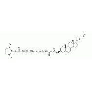 胆固醇 PEG N-羟基琥珀酰亚胺, CLS-PEG-NHS
