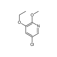 <em>5-Chloro-3-ethoxy-2</em>-methoxypyridine