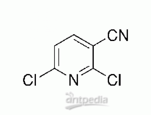 2,6-二氯吡啶-3-甲腈