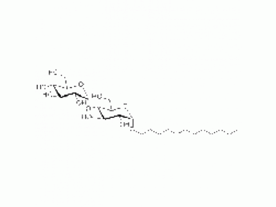 正十二烷基-α-D-麦芽糖苷