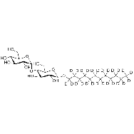 <em>n-Dodecyl-d</em>25-β-<em>D</em>-Maltopyranoside