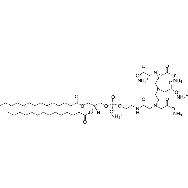 <em>1,2-dimyristoyl-sn-glycero-3-phosphoethanolamine-N</em>-diethylenetriaminepentaacetic acid (<em>ammonium</em> <em>salt</em>)