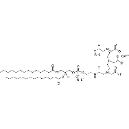 <em>1,2-dimyristoyl-sn-glycero-3</em>-phosphoethanolamine-N-diethylenetriaminepentaacetic <em>acid</em> (gadolinium <em>salt</em>)