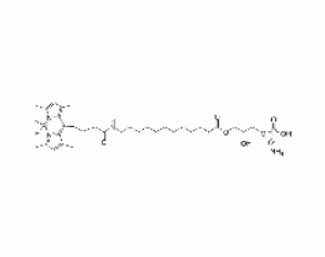 1-{12-[4-(dipyrrometheneboron difluoride)butanoyl]amino}dodecanoyl-2-hydroxy-sn-glycero-3-phosphate (ammonium salt)