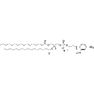 <em>1,2-dipalmitoyl-sn-glycero-3-phosphoethanolamine-N</em>-(<em>2</em>,4-dinitrophenyl) (<em>ammonium</em> <em>salt</em>)