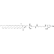 <em>1,2-dipalmitoyl-sn-glycero-3-phosphoethanolamine-N</em>-[6-[(<em>2</em>,4-dinitrophenyl)<em>amino</em>]hexanoyl] (<em>ammonium</em> <em>salt</em>)