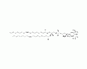 1,2-dioleoyl-sn-glycero-3-phospho(tempo)choline