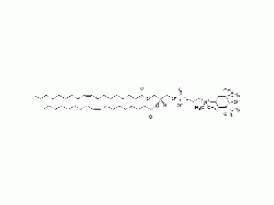 1,2-dioleoyl-sn-glycero-3-phospho(tempo)choline