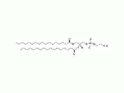 1,2-diheptadecanoyl-sn-glycero-3-phosphoethanolamine