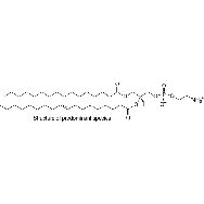 <em>L</em>-α-<em>phosphatidylethanolamine</em> (<em>E.</em> <em>coli</em>)
