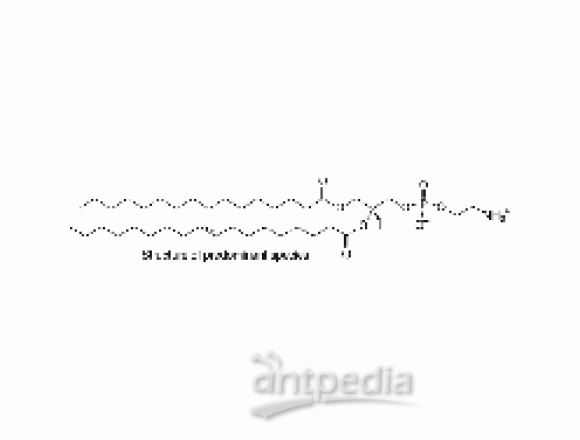 L-α-phosphatidylethanolamine (E. coli)