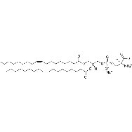 1,2-dioleoyl-sn-glycero-3-phospho-<em>L</em>-serine (<em>sodium</em> <em>salt</em>)