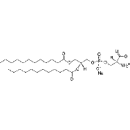 <em>1,2-dilauroyl-sn-glycero-3</em>-phospho-L-serine (sodium <em>salt</em>)