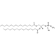 1,2-<em>dipalmitoyl-sn-glycero-3</em>-phosphomethanol (<em>sodium</em> <em>salt</em>)