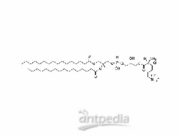 1,2-dipalmitoyl-sn-glycero-3-[phospho-rac-(3-lysyl(1-glycerol))] (chloride salt)
