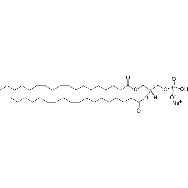 1,2-dilinoleoyl-sn-glycero-3-<em>phosphate</em> (<em>sodium</em> salt)