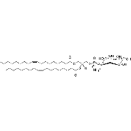 <em>1,2-dioleoyl-sn-glycero-3</em>-phospho-(<em>1</em>'-myo-inositol) (ammonium <em>salt</em>)