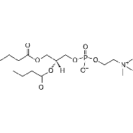 <em>1,2-dibutyryl-sn-glycero-3-phosphocholine</em>