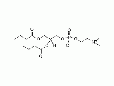 1,2-dibutyryl-sn-glycero-3-phosphocholine
