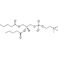 1,2-dipentanoyl-sn-glycero-3-<em>phosphocholine</em>