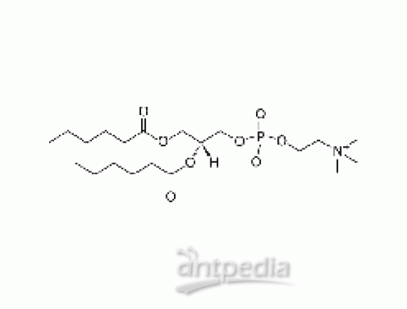 1,2-二己酰-Sn-甘油-3-磷酰胆碱