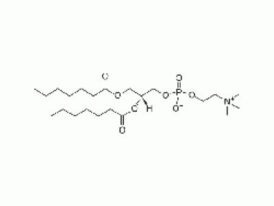 1,2-二庚酰-Sn-甘油-3-磷酰胆碱