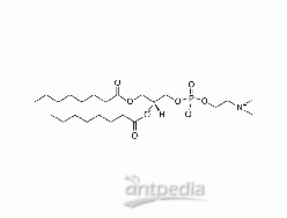 1,2-dioctanoyl-sn-glycero-3-phosphocholine