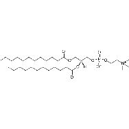 1,2-dilauroyl-sn-glycero-3-<em>phosphocholine</em>