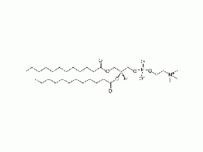 1,2-dilauroyl-sn-glycero-3-phosphocholine