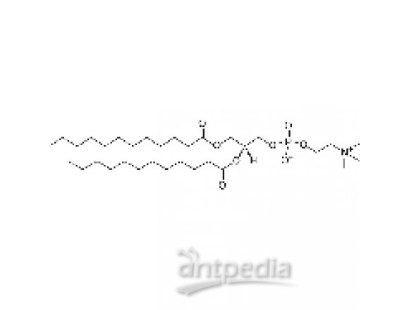 1,2-dilauroyl-sn-glycero-3-phosphocholine