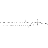 <em>1,2-dimyristelaidoyl-sn-glycero-3-phosphocholine</em>
