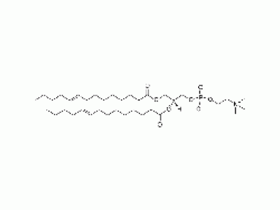1,2-dimyristelaidoyl-sn-glycero-3-phosphocholine