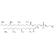 <em>1,2-diphytanoyl-sn-glycero-3-phosphocholine</em>