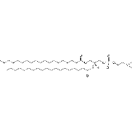 <em>1,2-dinonadecanoyl-sn-glycero-3-phosphocholine</em>