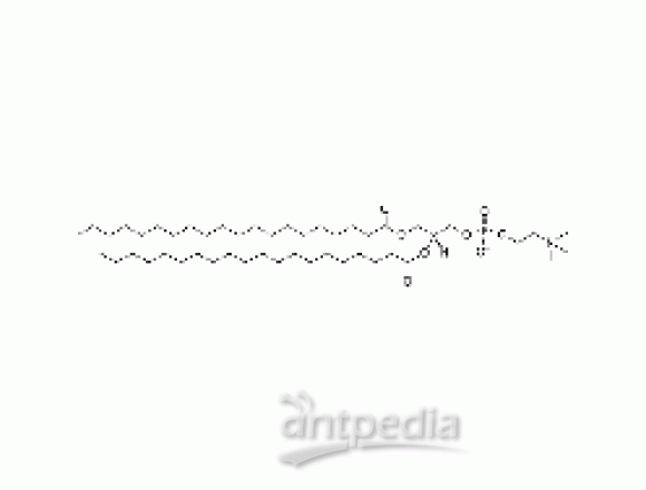1,2-diarachidoyl-sn-glycero-3-phosphocholine
