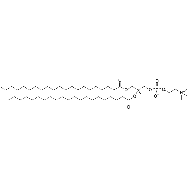 <em>1,2-dihenarachidoyl-sn-glycero-3-phosphocholine</em>