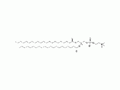 1,2-dihenarachidoyl-sn-glycero-3-phosphocholine
