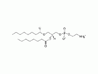 1,2-dioctanoyl-sn-glycero-3-phosphoethanolamine