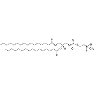 <em>1,2-dipalmitoyl-sn-glycero-3-phosphoethanolamine-N-methyl</em>