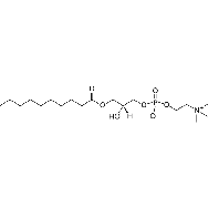1-<em>decanoyl</em>-2-hydroxy-sn-glycero-3-phosphocholine